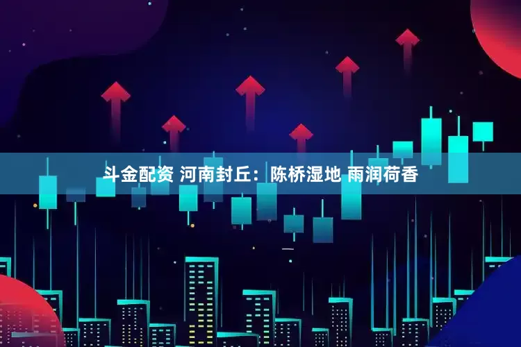 斗金配资 河南封丘：陈桥湿地 雨润荷香