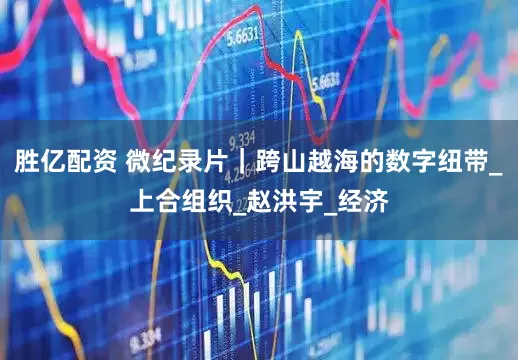 胜亿配资 微纪录片｜跨山越海的数字纽带_上合组织_赵洪宇_经济