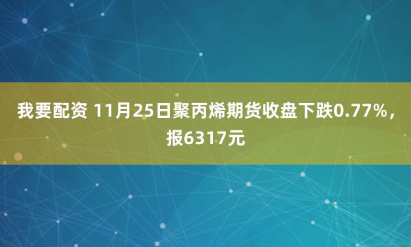 我要配资 11月25日聚丙烯期货收盘下跌0.77%，报6317元